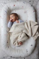 Little Pea_Cam Cam Βρεφική φωλιά,Carousel 1